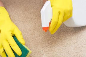 Hands cleaning carpet