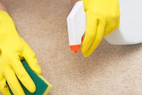 A Few Minor Problems to Consider with Stain Resistant Carpet