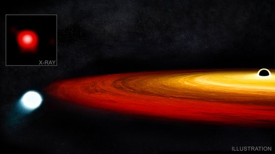 This Star Survived Being Swallowed by a Black Hole