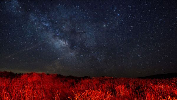 How Much Starlight Has Been Emitted Since the Beginning of Time?