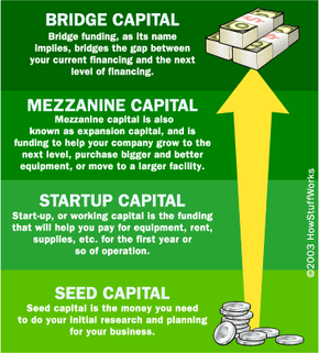 Paid-Up Capital: Definition, How It Works, and Importance