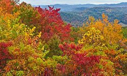 The view from the Foothills Parkway ay the Great Smoky Mountains National Park in Tennessee.