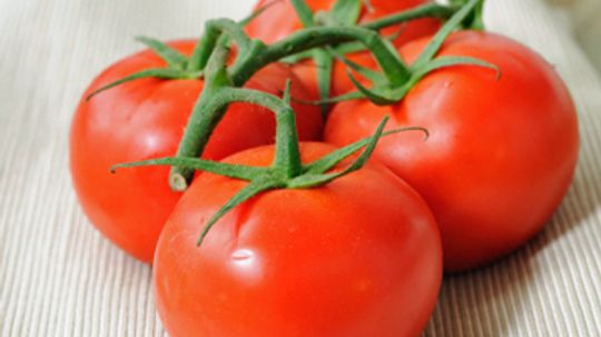Can you have a skin allergy to tomato plants?