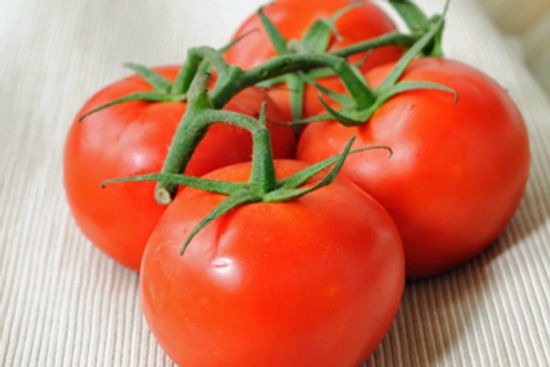 Can you have a skin allergy to tomato plants?