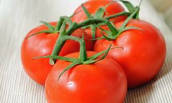 Tomatoes and foods such as nuts and shellfish may trigger a canker sore.