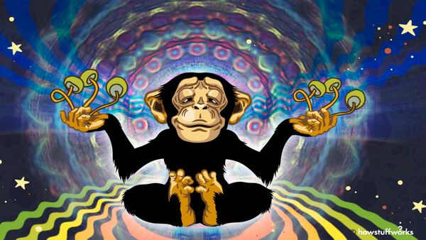 Stoned Ape Theory: Magic Mushrooms and Human Evolution