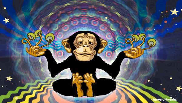 Stoned ape hypothesis