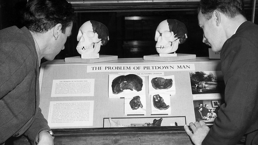 Piltdown man hoax