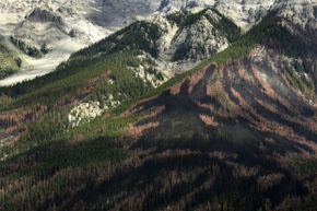 You can see an unusual pattern left by a forest fire on the side of a mountain in Yoho National Park in British Columbia. The fire was a controlled burn of forest areas infested with the mountain pine beetle.
