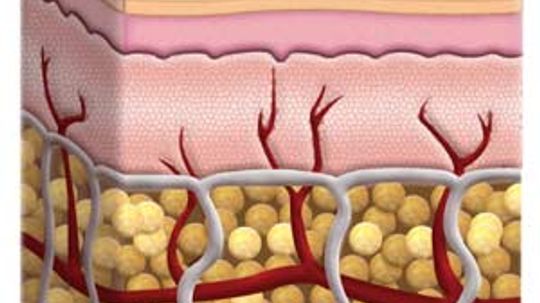 Subcutaneous Tissue