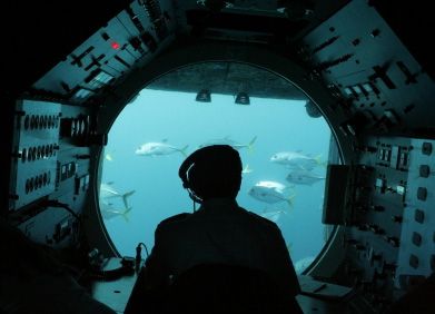 This sub captain has a front row view of the ocean life.