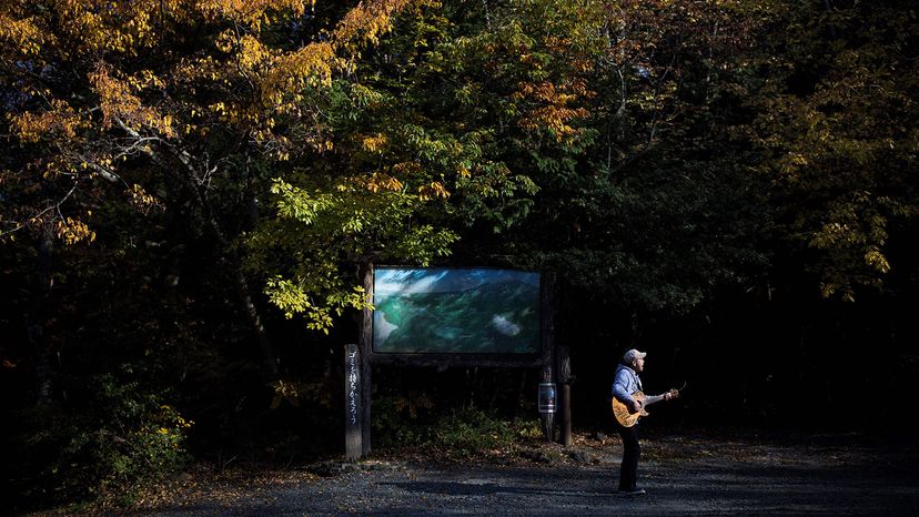 Kyochi Watanabe plays his guitar at the entrance of Aokigahara  Forest