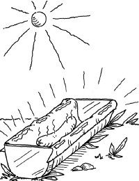 Cook a hot dog -- with the sun!