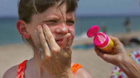 Hawaii Proposes Ban on Certain Sunscreens to Save Coral Reefs