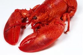 lobster sunburn