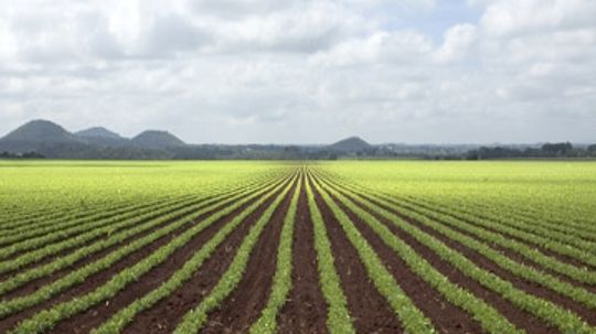 How Sustainable Agriculture Works
