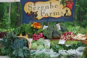Serenbe has a 25-acre organic farm to minimize the need to ship groceries from far away.