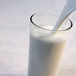 牛奶使头发、牙齿、指甲和骨骼强壮。