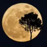 How Supermoons Work