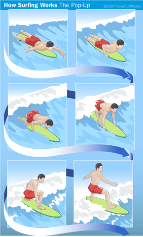 Sporty summer vector illustration collection.