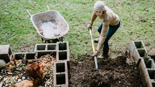 surprising compost items