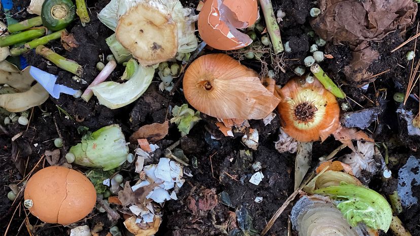 surprising compost items