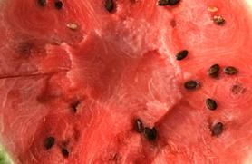 watermelon health benefits photo