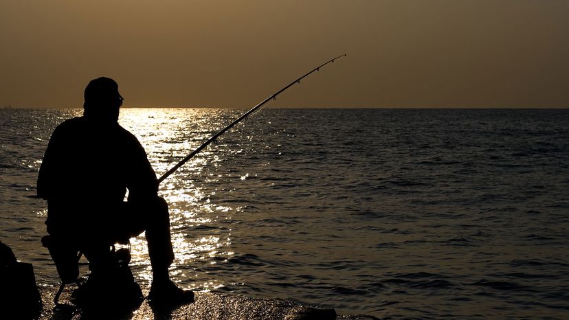 fishing with bottom gillnets