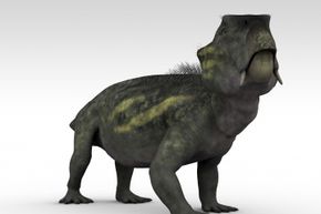 The small, stocky Lystrosaurus managed to survive a completely inhospitable environment by heading underground.