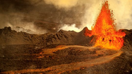 18新利最新登入如何在大规模灭绝”width=