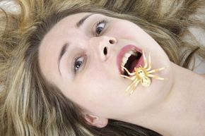 Spiders are creepy and crawling, but their choice of residence isn't necessarily your mouth -- especially while you're sleeping.