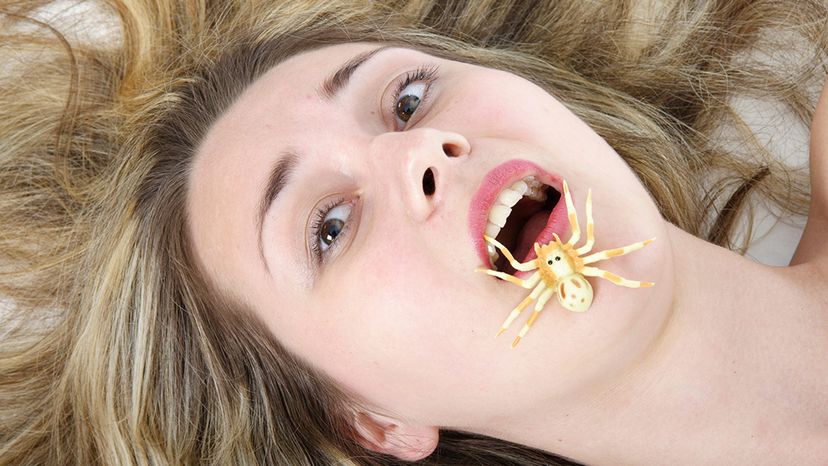 spider in mouth