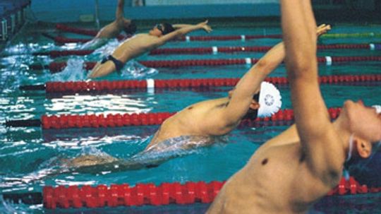 How Swim Training Programs Work