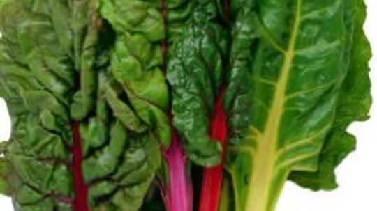 Swiss Chard