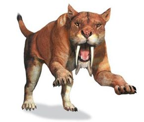 saber tooth tiger attacking