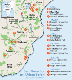 Cartography illustrating education through vector map.