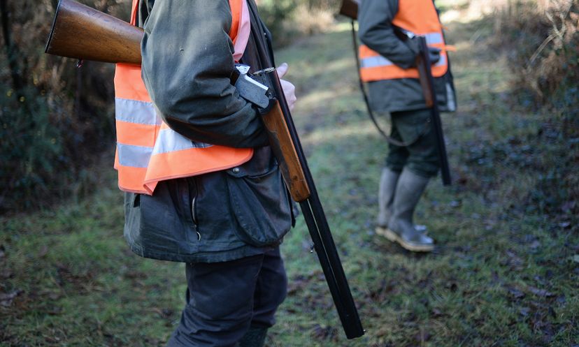 The Ultimate Safe Hunting Quiz