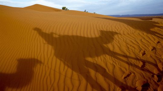 The 5 Hottest Deserts in the World