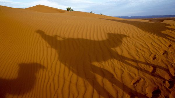 Nature's sand dune landscape in shadow.