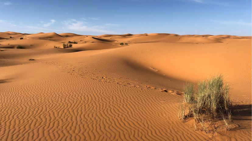 Sahara Desert landscape image