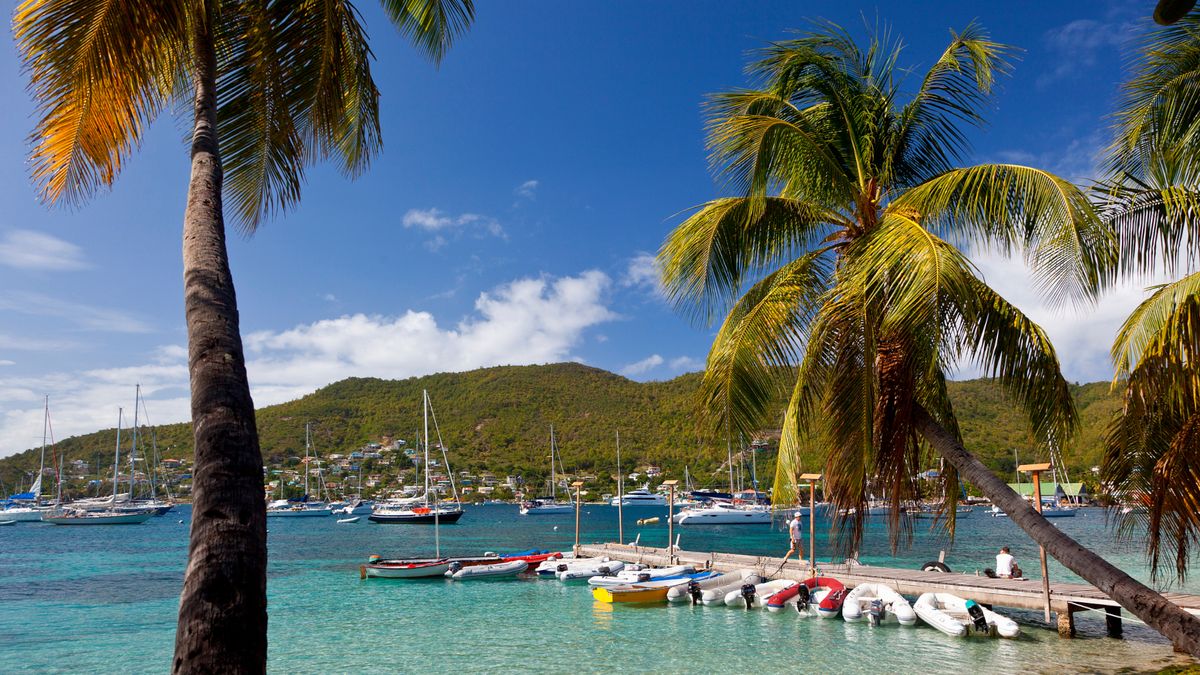 Exploring Saint Vincent and the Grenadines: An In-Depth Look at the ...