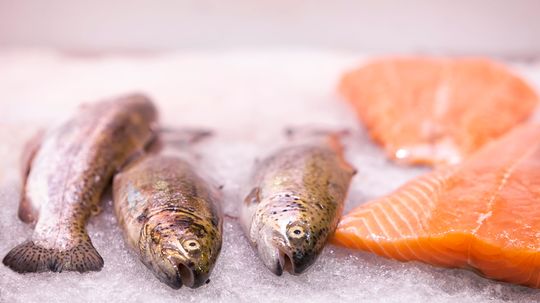 科学家发现为什么所有养殖鲑鱼的一半部分聋了“border=