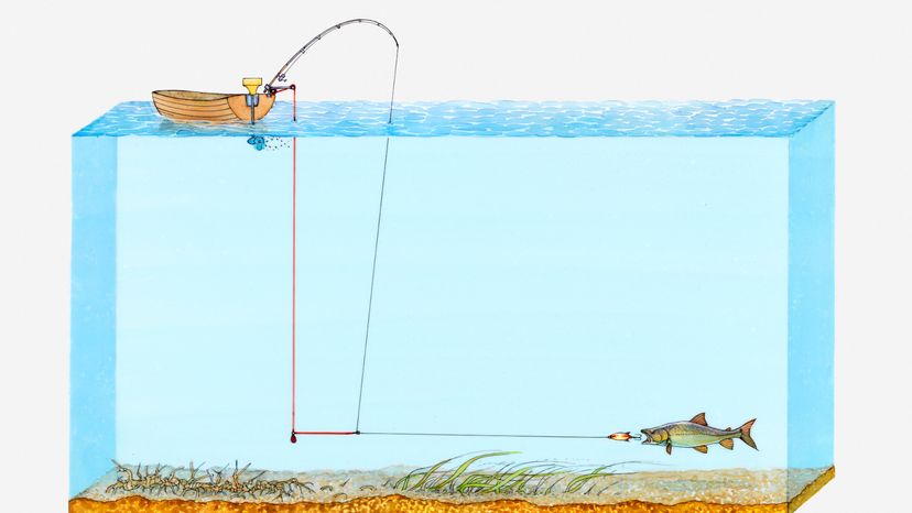 salmon fishing with downrigger