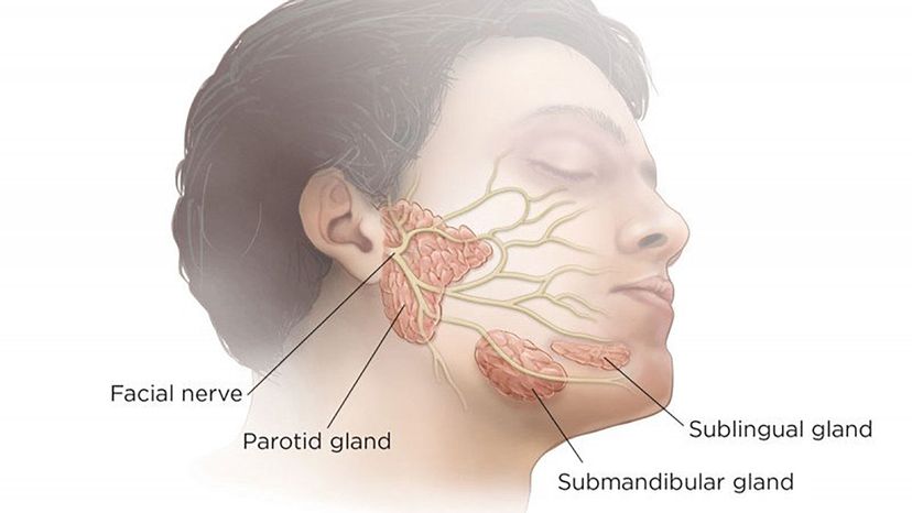 What can your spit tell you about your DNA?