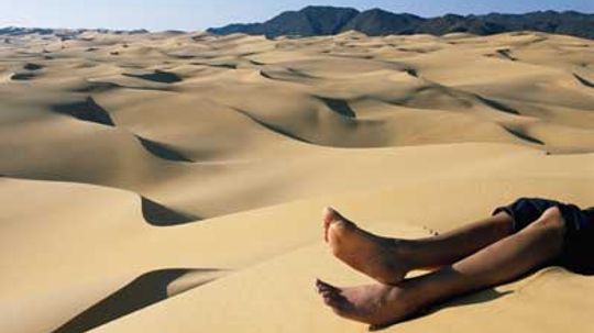 Are sand dunes really alive?