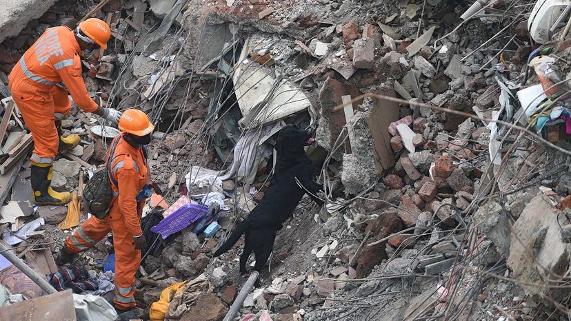 collapsed apartment building Mahad, India