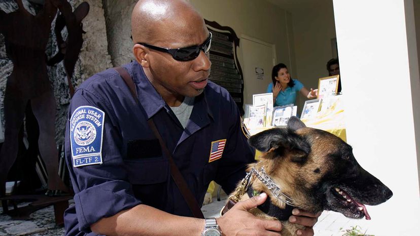 FEMA SAR dog and trainer