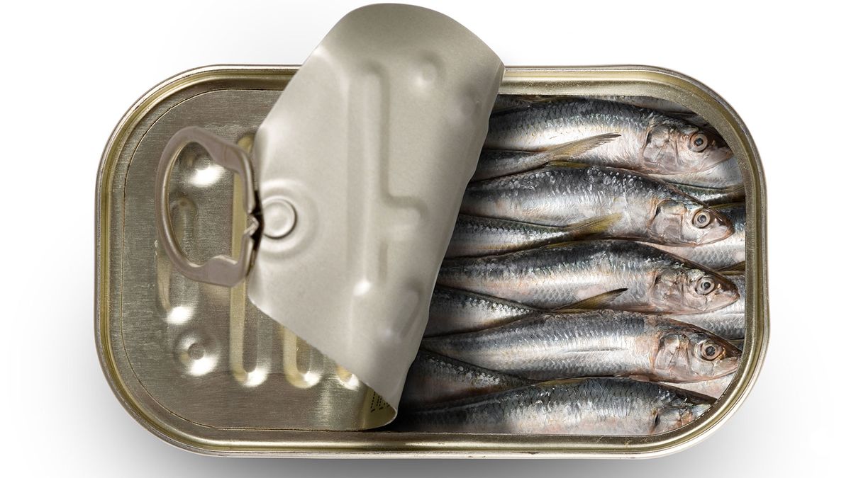 Sardines: The Stinky Little Fish You Should Be Eating