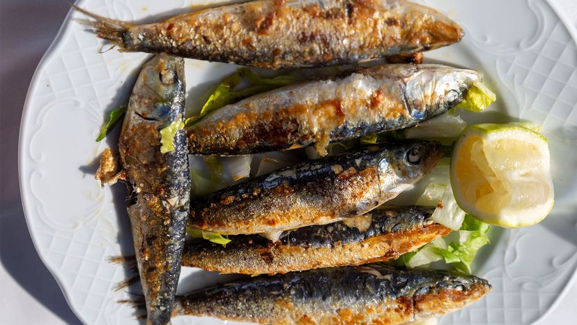 sardines