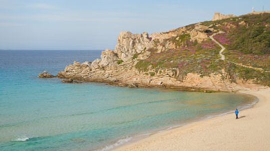 终极指南撒丁岛葡萄酒产区”width=